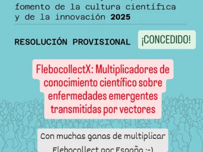 Convocatoria de ayudas CONCEDIDA